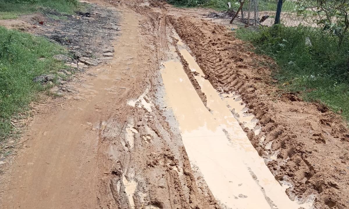 புதிய தார்ச்சாலை அமைக்கவேண்டும் புதிய தார்ச்சாலை அமைக்கவேண்டும்