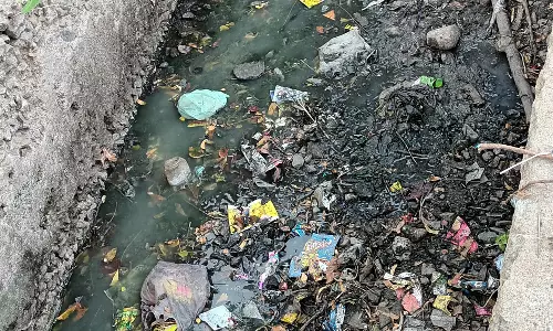 நோய் பரவும் அபாயம்