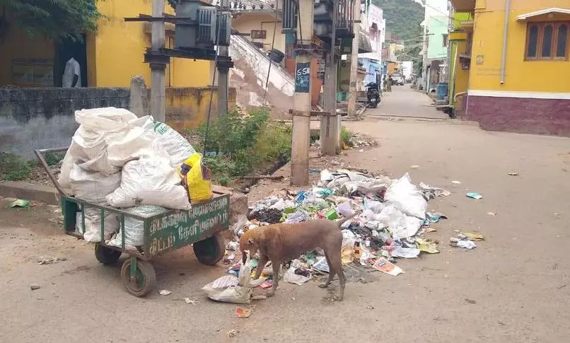 குவிந்து கிடக்கும் குப்பைகள் குவிந்து கிடக்கும் குப்பைகள்