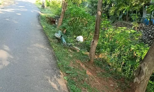 தடுப்பு வேலி தேவை