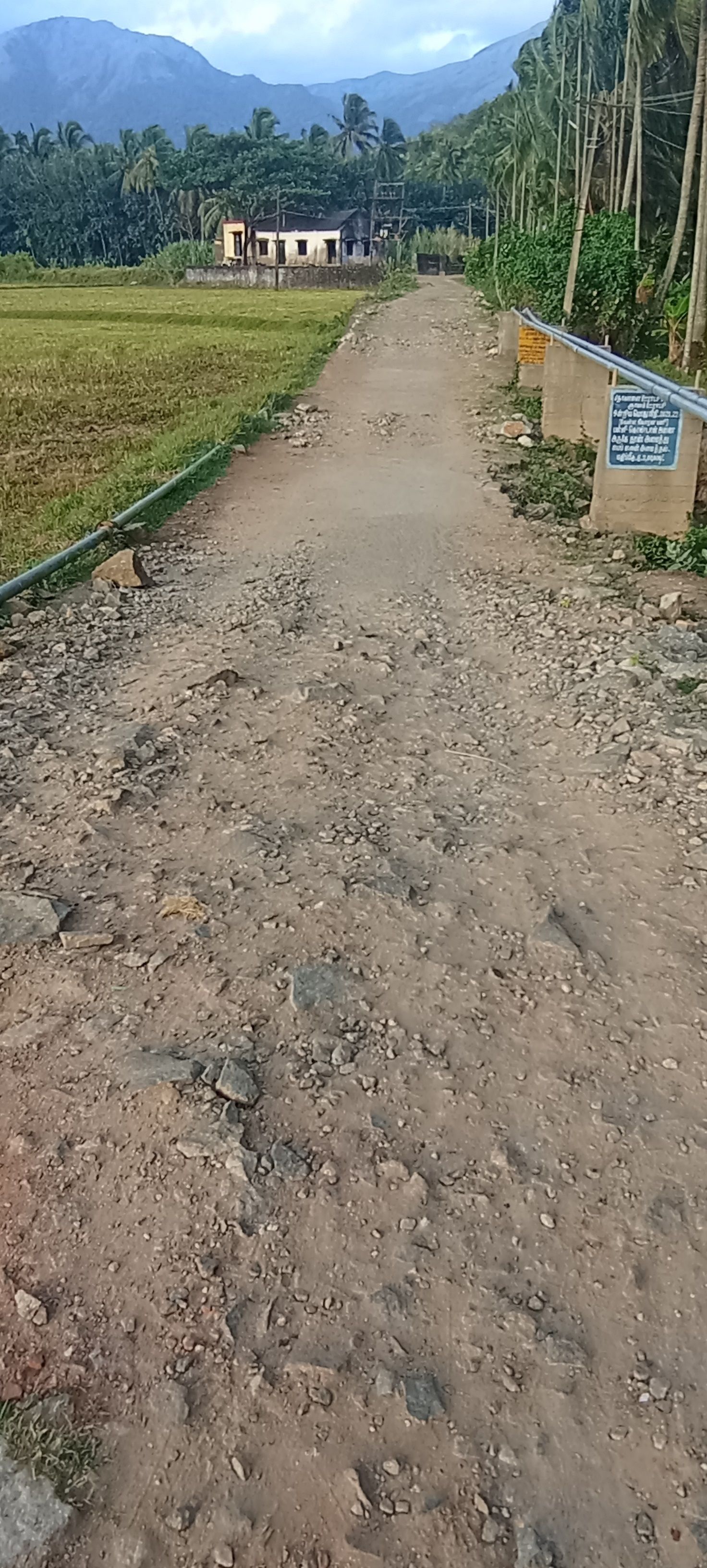 சேதமடைந்த சாலை