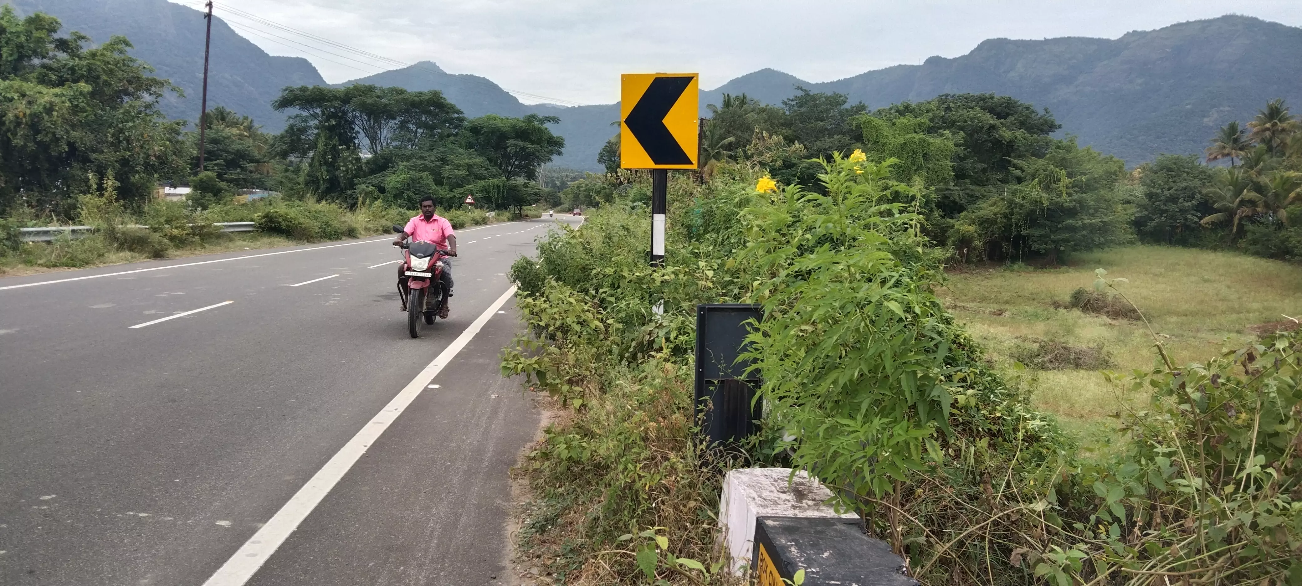 முள் செடிகளால் போக்குவரத்துக்கு இடையூறு முள் செடிகளால் போக்குவரத்துக்கு இடையூறு