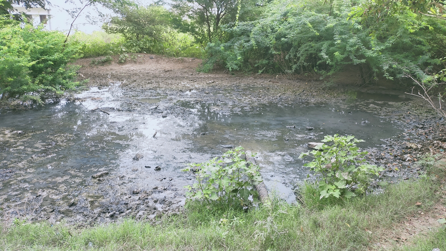 கழிவுநீர் தேங்கும் இடமாக மாறிய சாலை கழிவுநீர் தேங்கும் இடமாக மாறிய சாலை