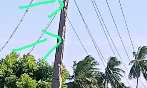 எலும்புக்கூடான மின்கம்பம் எலும்புக்கூடான மின்கம்பம்