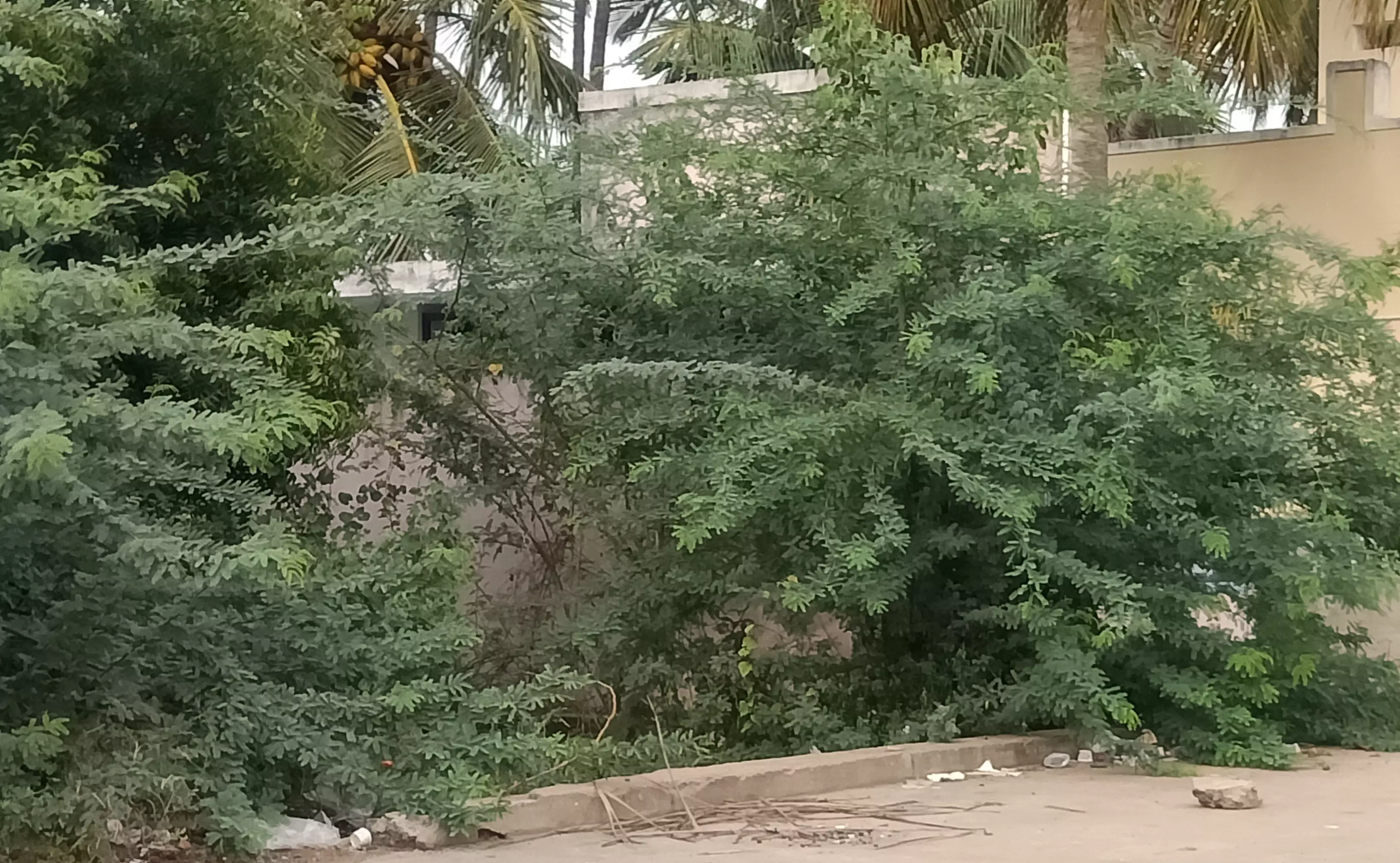 பயனற்ற சுகாதார வளாகம்