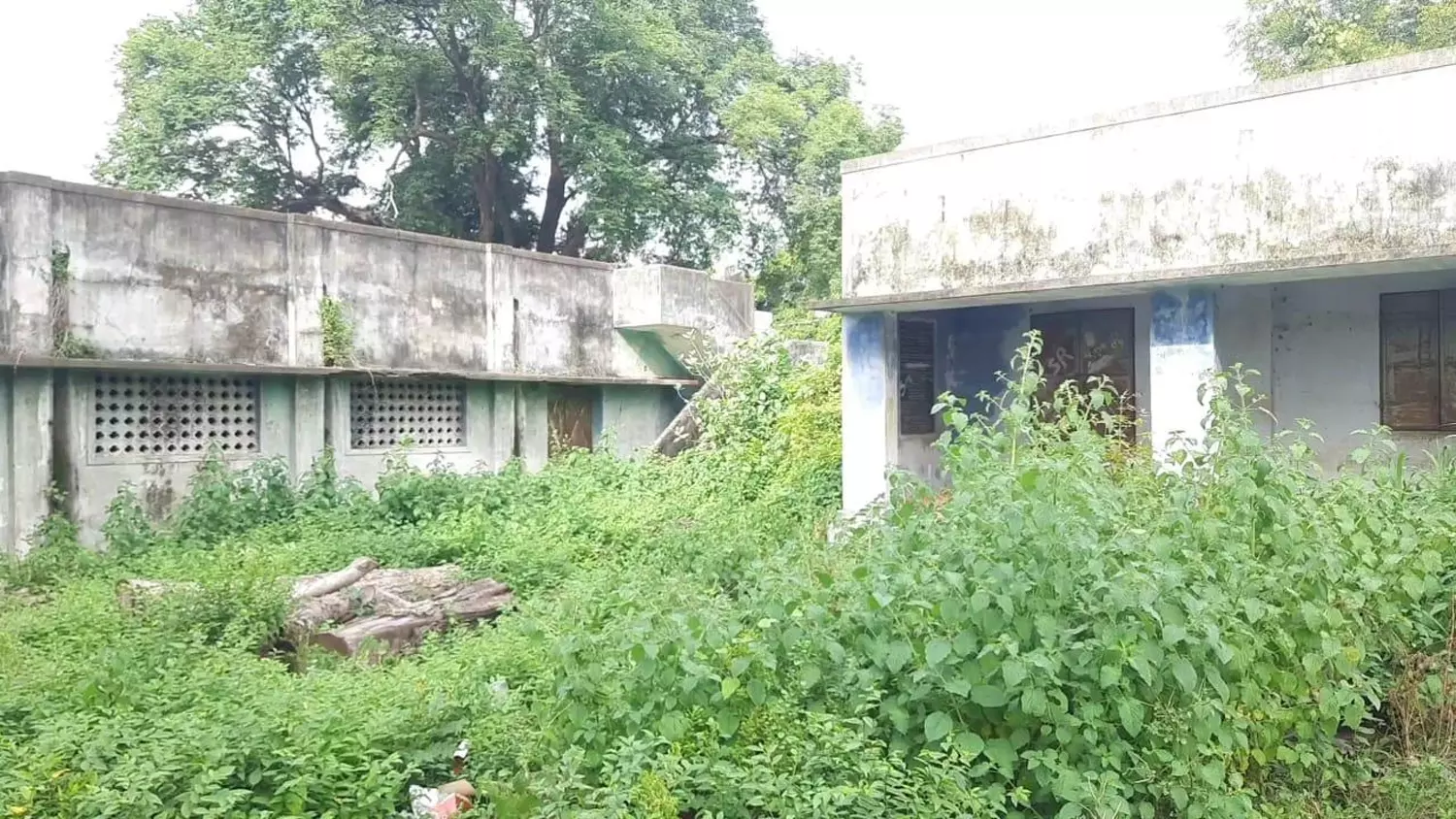 பாழடைந்த அரசு கட்டிடங்கள் பாழடைந்த அரசு கட்டிடங்கள்