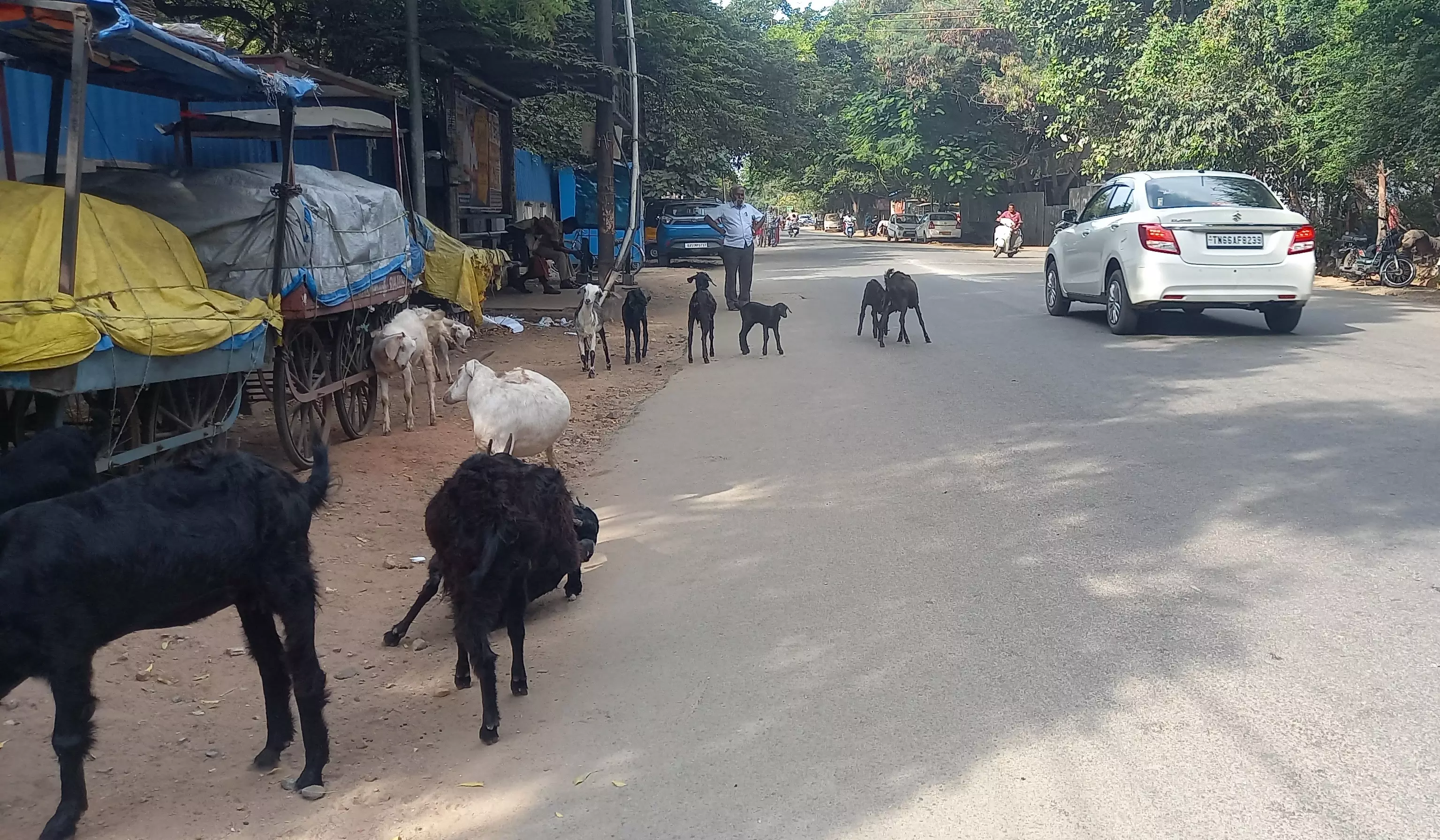 போக்குவரத்து பாதிப்பு