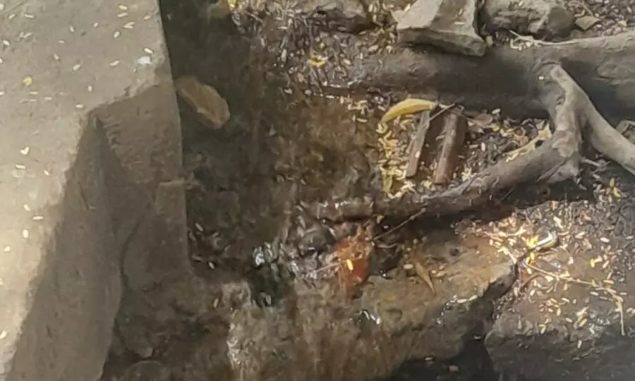 வீணாகும் குடிநீர் வீணாகும் குடிநீர்