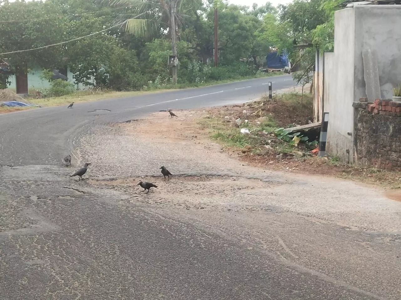 சேதமடைந்த சாலை