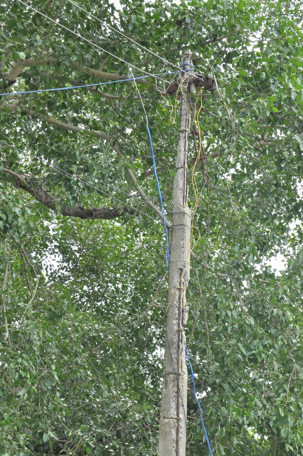 மின்கம்பம் சேதம்