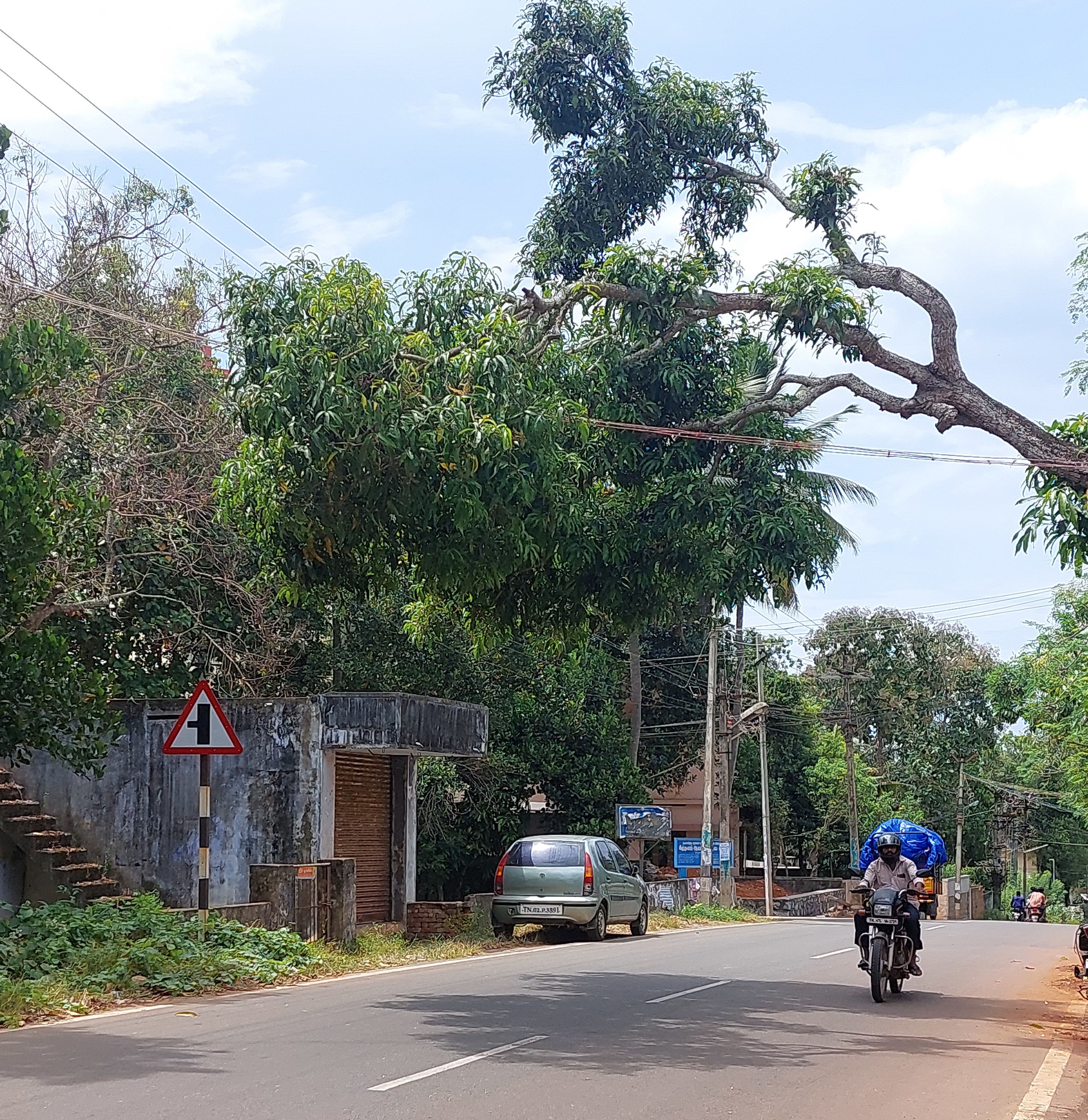 மரத்தை அகற்ற வேண்டும்