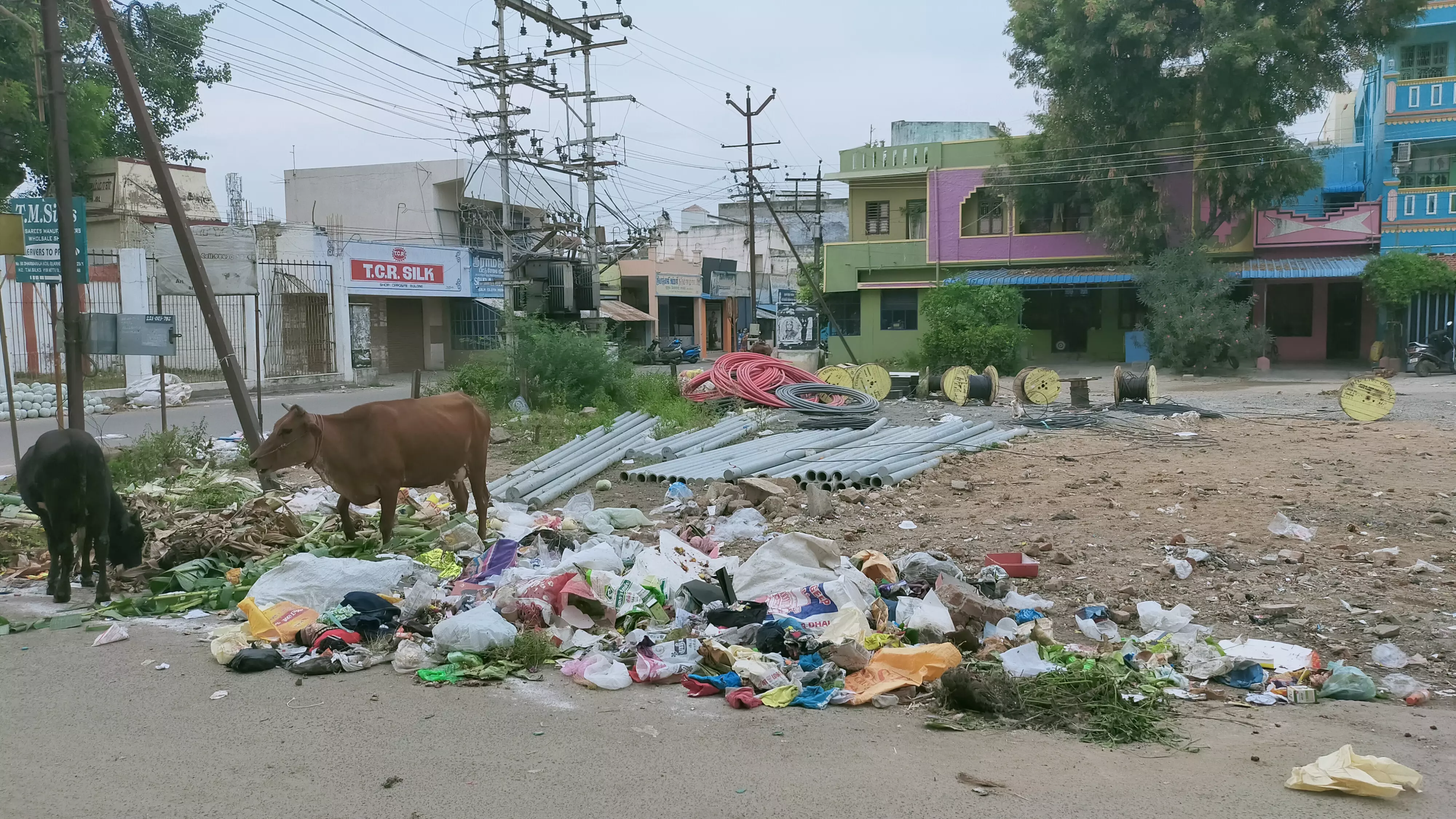 குப்பைகளை அப்புறப்படுத்துவார்களா? குப்பைகளை அப்புறப்படுத்துவார்களா?