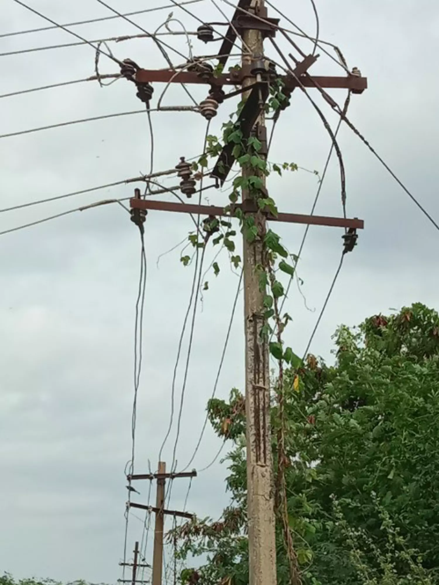 பழுதடைந்த மின் கம்பம் மாற்றப்படுமா? பழுதடைந்த மின் கம்பம் மாற்றப்படுமா?