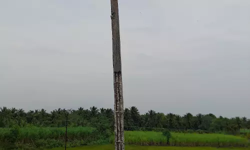 மின்கம்பங்கள் சேதம் மின்கம்பங்கள் சேதம்