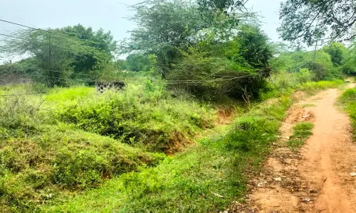 ஆபத்தான மின்வயர்கள்