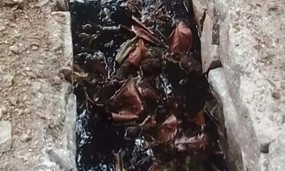 சாக்கடையில் தேங்கும் குப்பைகள் சாக்கடையில் தேங்கும் குப்பைகள்