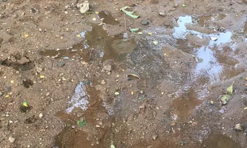 குழாய் உடைந்து வீணாகும் குடிநீர் குழாய் உடைந்து வீணாகும் குடிநீர்