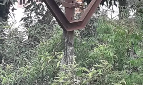 சேதமடைந்த மின்கம்பம்