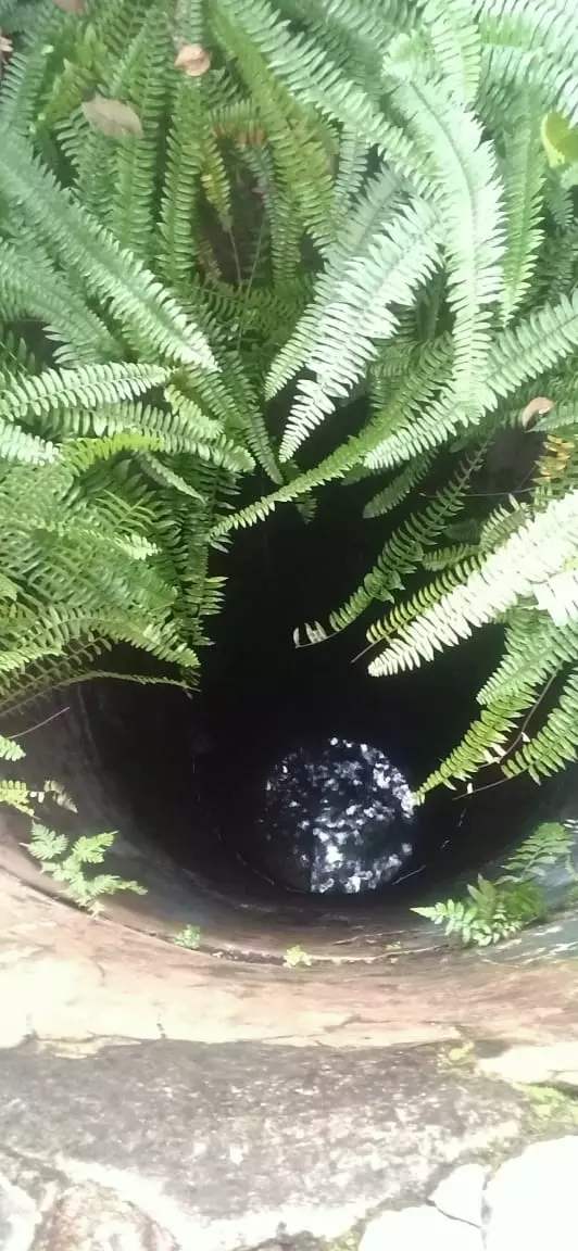 பயன்பாட்டுக்கு வருமா?