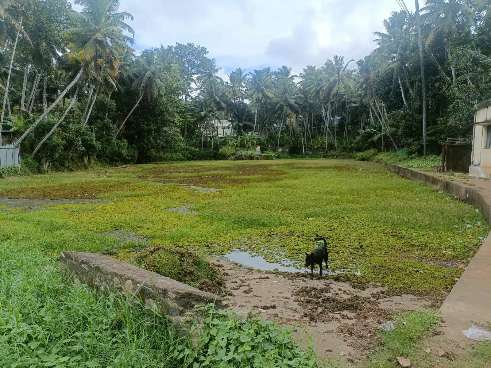 தூர்வாரப்படுமா? தூர்வாரப்படுமா?