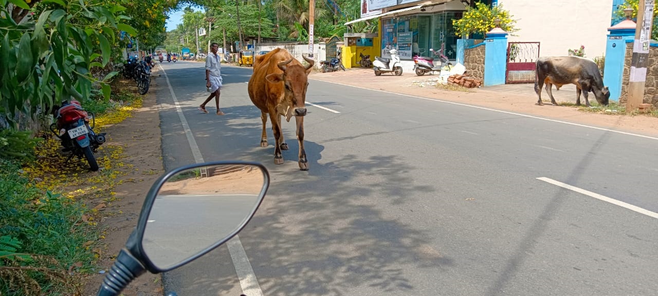 நடவடிக்கை தேவை நடவடிக்கை தேவை