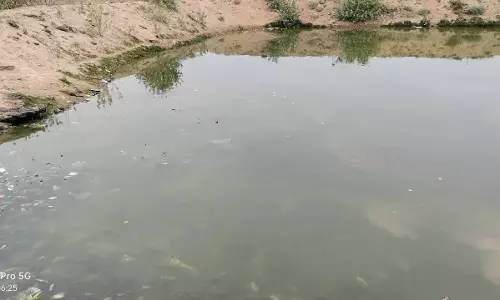 ஊருணிகள் தூர்வாரப்படுமா?