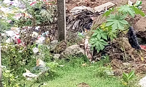 குப்பைகளால் துர்நாற்றம் குப்பைகளால் துர்நாற்றம்