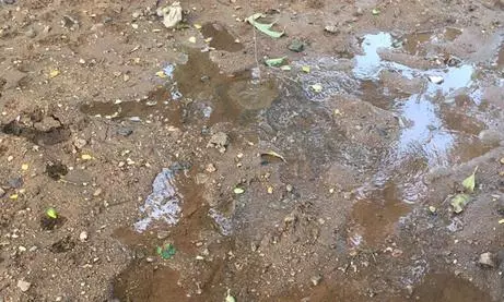 குழாய் உடைந்து வீணாகும் குடிநீர் குழாய் உடைந்து வீணாகும் குடிநீர்