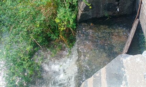 வீணாகும் தண்ணீர்