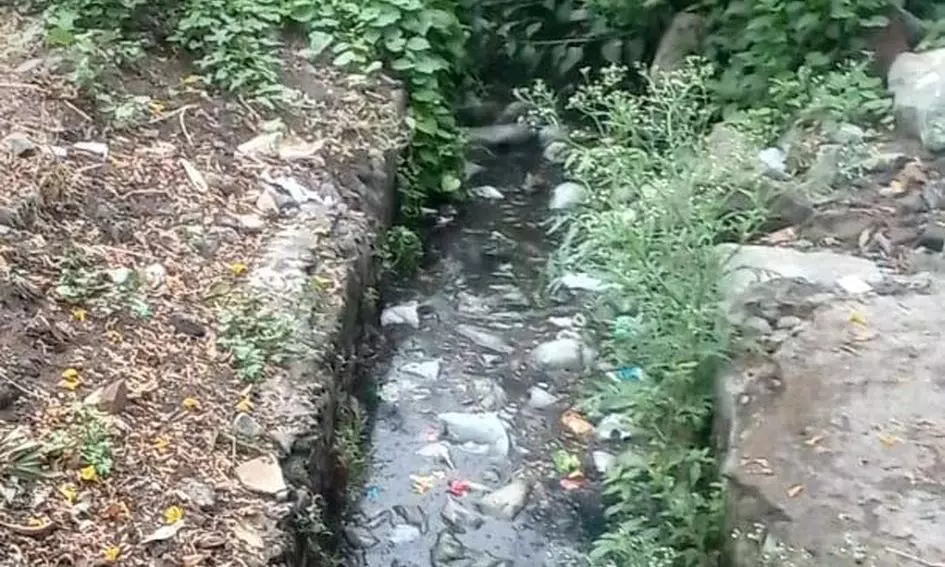 புதர்மண்டி கிடக்கும் கால்வாய்