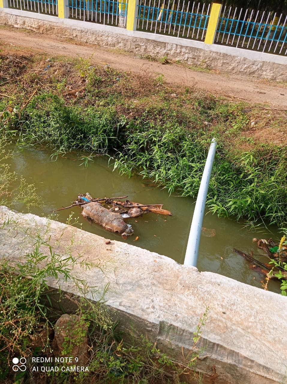 சுகாதார சீர்கேடு