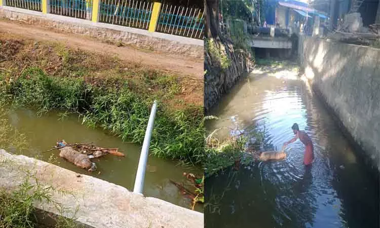 அகற்றப்பட்டது