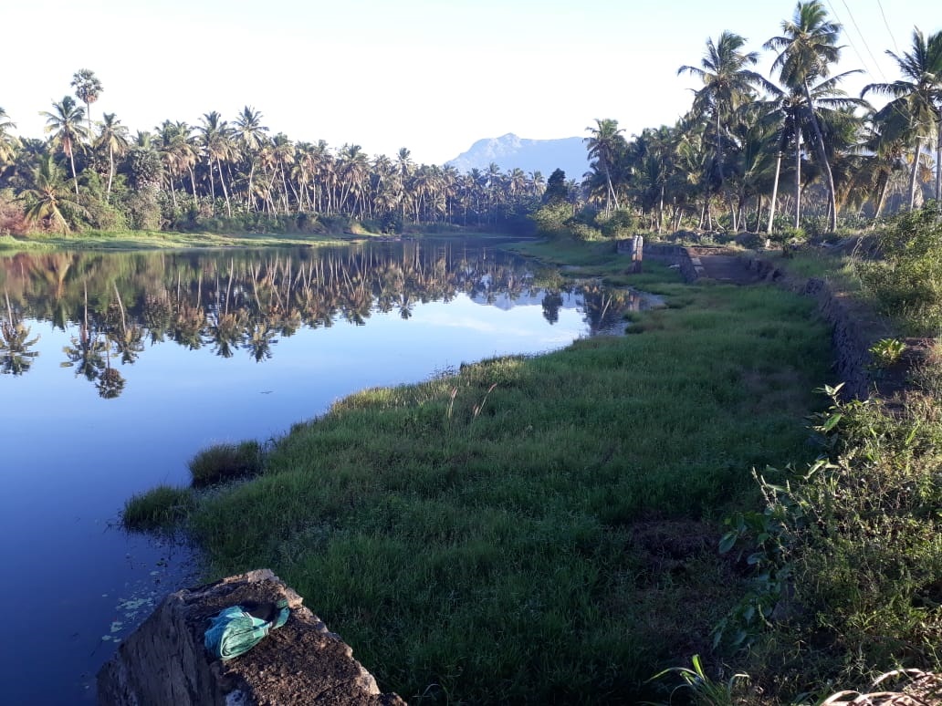குளத்தை தூர்வார வேண்டும்