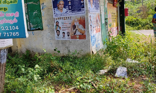 புதர்களை அகற்ற வேண்டும் புதர்களை அகற்ற வேண்டும்