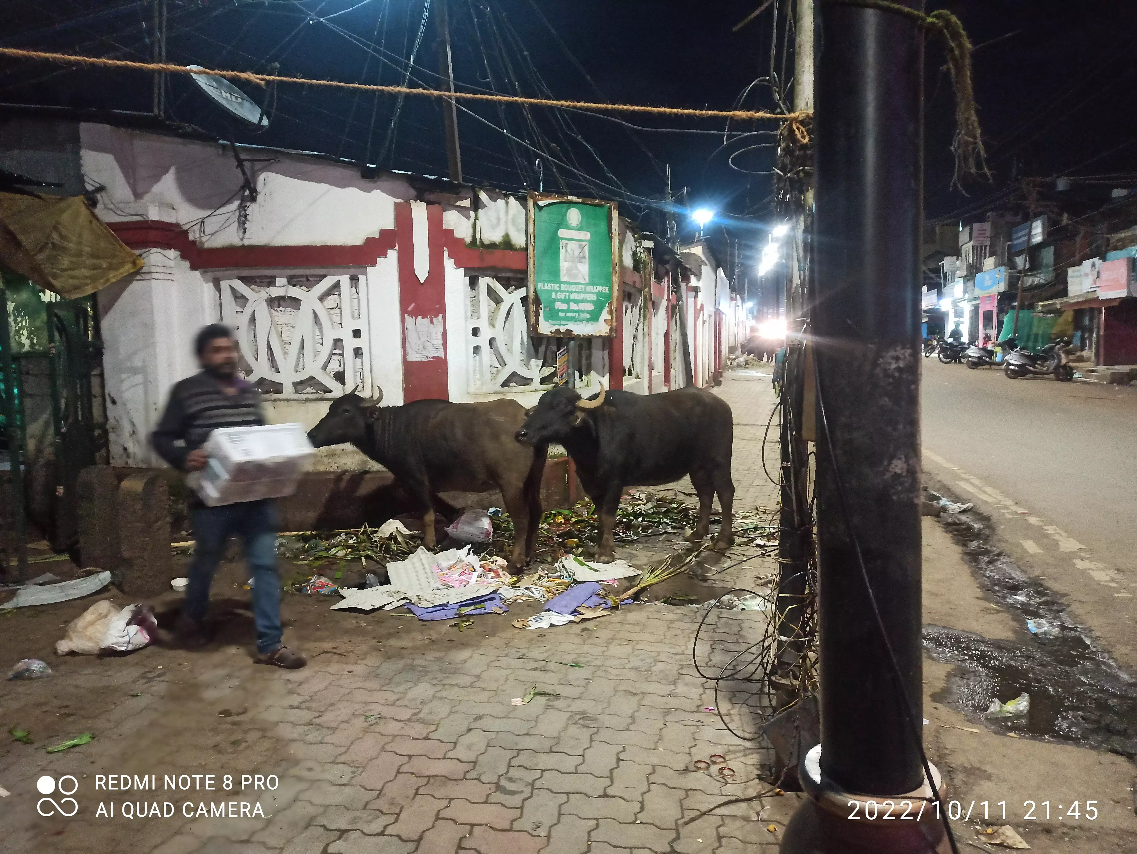 மார்க்கெட்டில் சுற்றி திரியும் கால்நடைகள்
