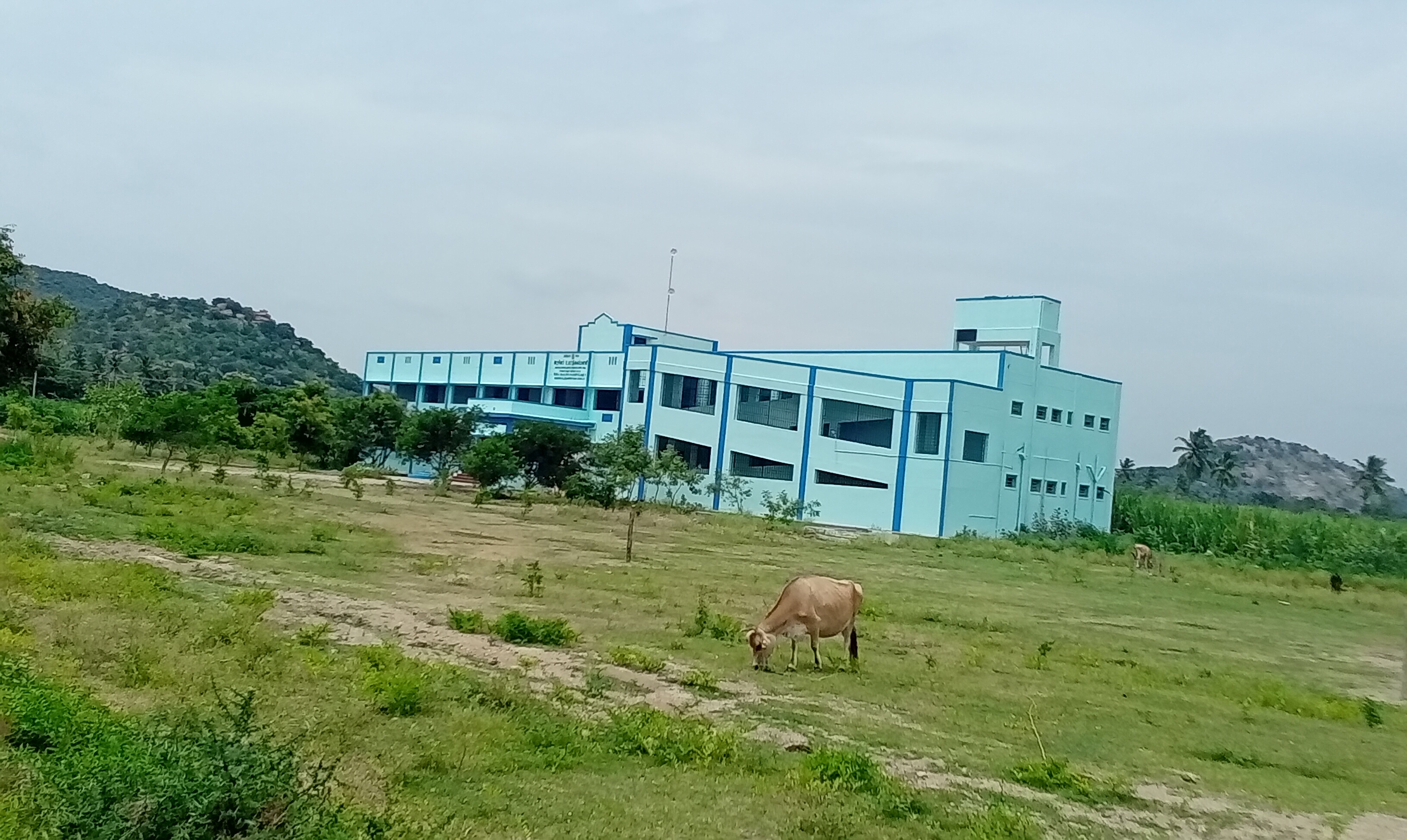 சுற்றுச்சுவர் கட்டப்படுமா? சுற்றுச்சுவர் கட்டப்படுமா?