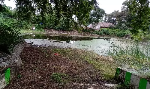 குளத்தை தூர்வார வேண்டும் குளத்தை தூர்வார வேண்டும்