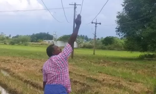 தாழ்வாக தொங்கும் மின்சார் கேபிள் தாழ்வாக தொங்கும் மின்சார் கேபிள்