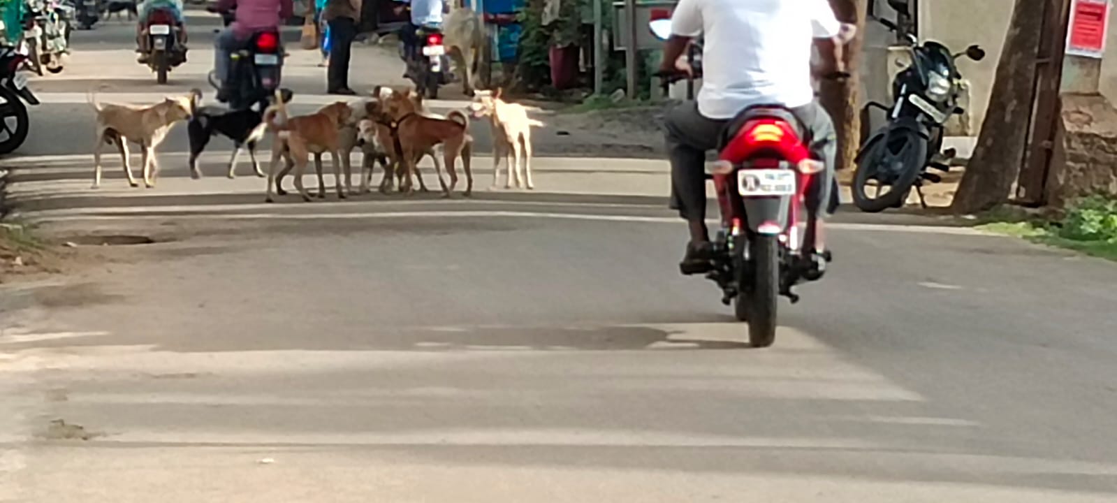 மாணவ-மாணவிகள் அவதி