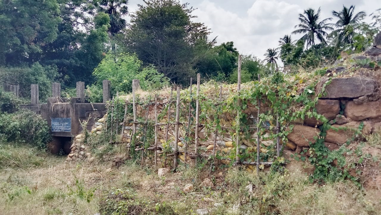 நடவடிக்கை எடுக்கப்படுமா?