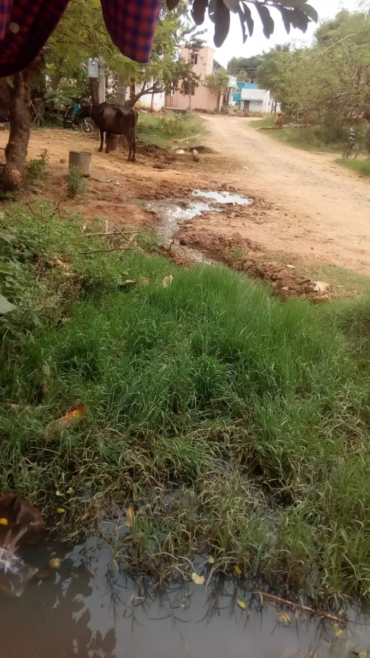 தேங்கி நிற்கும் மழைநீர் தேங்கி நிற்கும் மழைநீர்