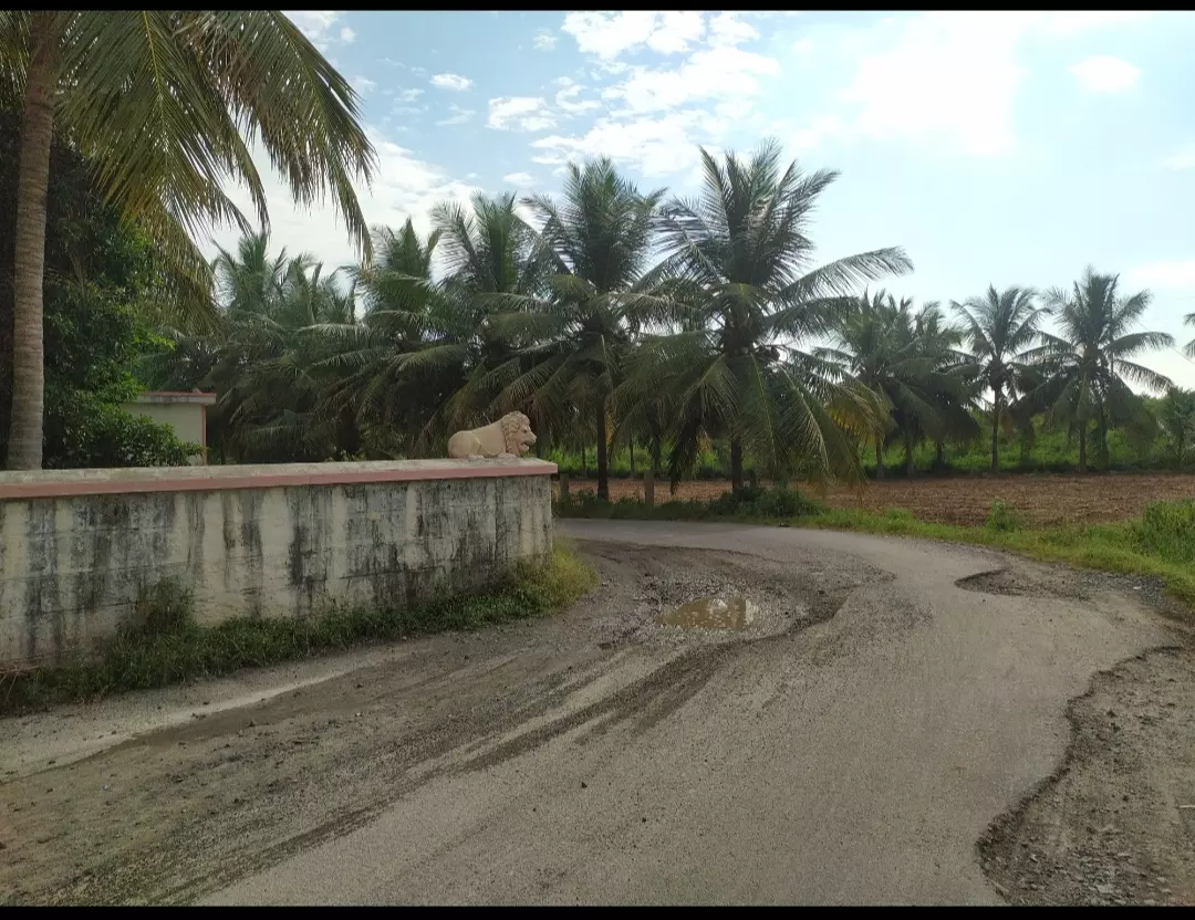 சாலை சீரமைக்கப்படுமா? சாலை சீரமைக்கப்படுமா?