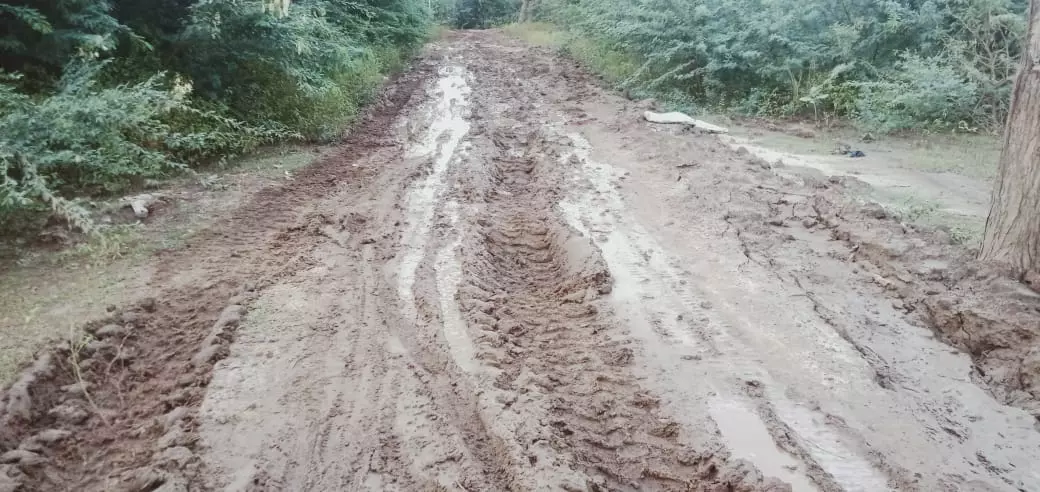 சேறும், சகதியுமான சாலை சேறும், சகதியுமான சாலை