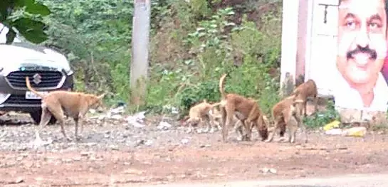 குழந்தைகள் அச்சம் குழந்தைகள் அச்சம்