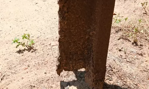 ஆபத்தான மின்கம்பம் ஆபத்தான மின்கம்பம்