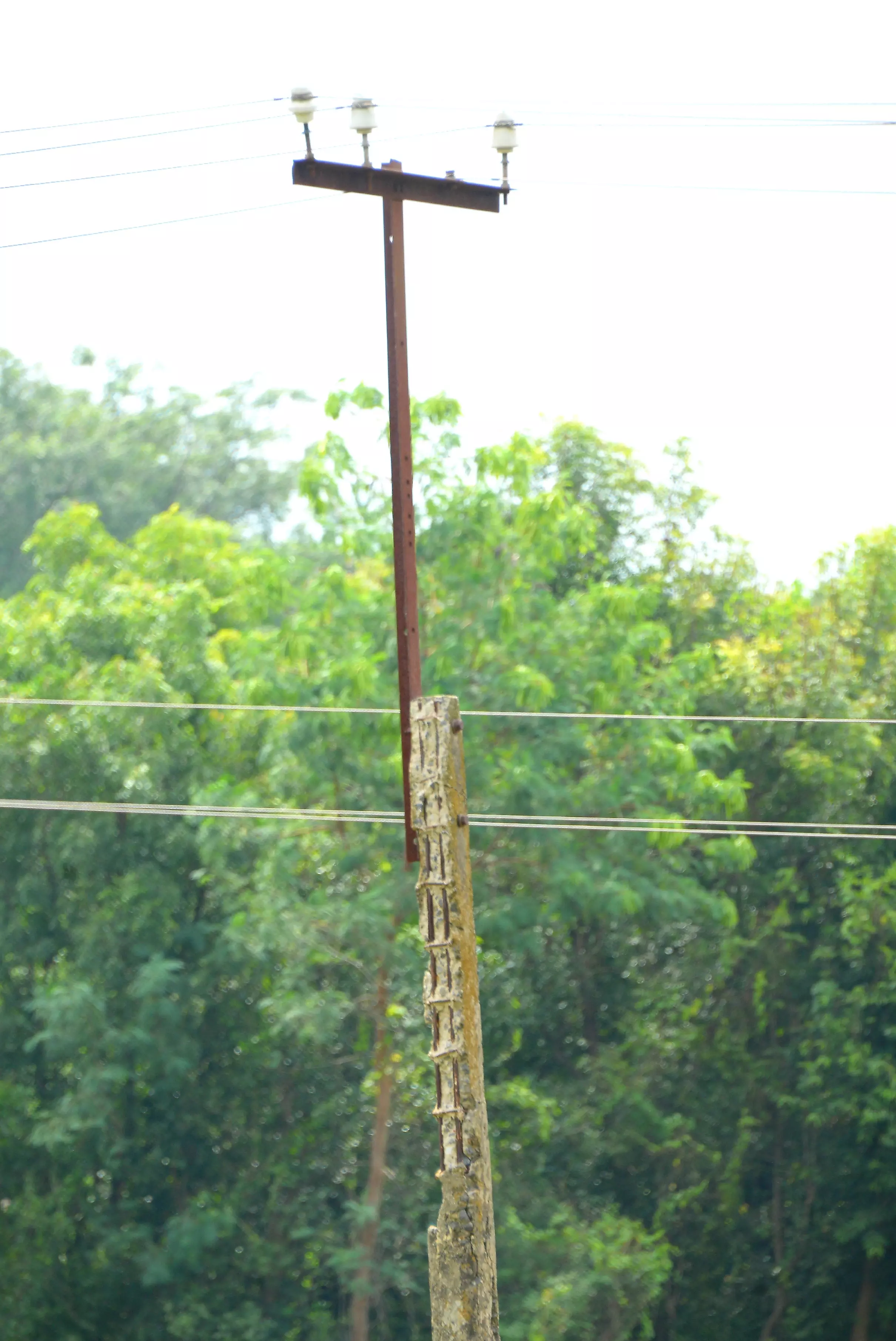 மின்கம்பம் மாற்றப்படுமா? மின்கம்பம் மாற்றப்படுமா?