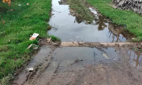 தெருக்களில் வழிந்தோடும் கழிவுநீர் தெருக்களில் வழிந்தோடும் கழிவுநீர்