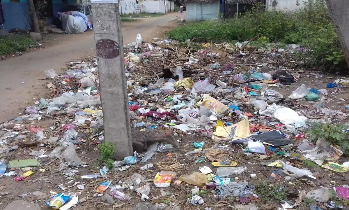 குப்பைகள் அகற்றப்படுமா? குப்பைகள் அகற்றப்படுமா?