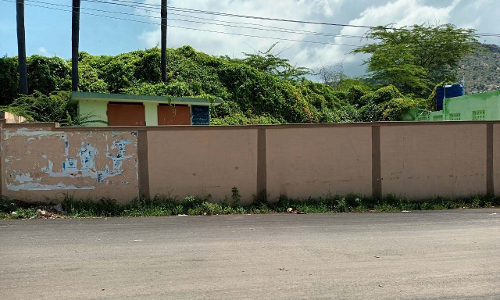 முட்செடிகளை அகற்ற வேண்டும்