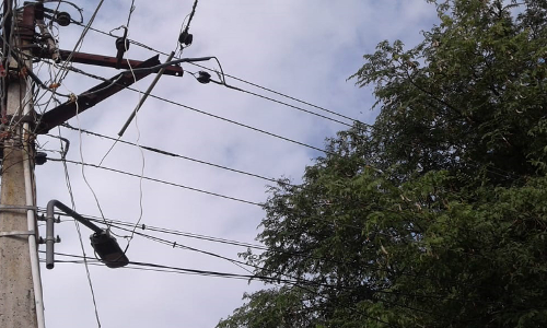 மின்கம்பிகளை சூழ்ந்த மரக்கிளைகள் மின்கம்பிகளை சூழ்ந்த மரக்கிளைகள்